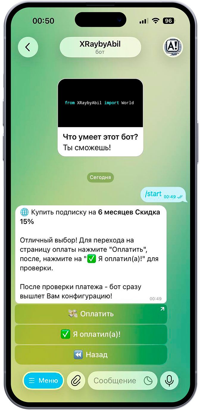 Оплата и выдача прокси-конфигурации